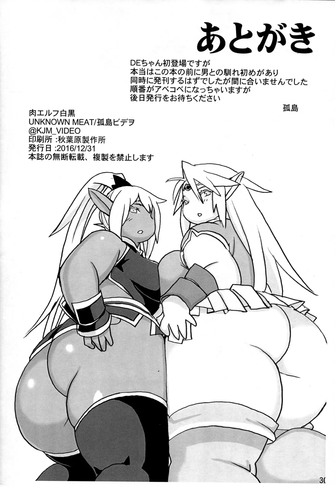 [Kojima Video] Niku Elf Shirokuro Fhentai - Page 30