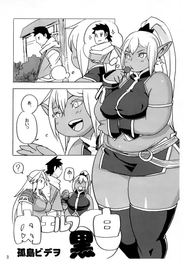 [Kojima Video] Niku Elf Shirokuro Fhentai - Page 3