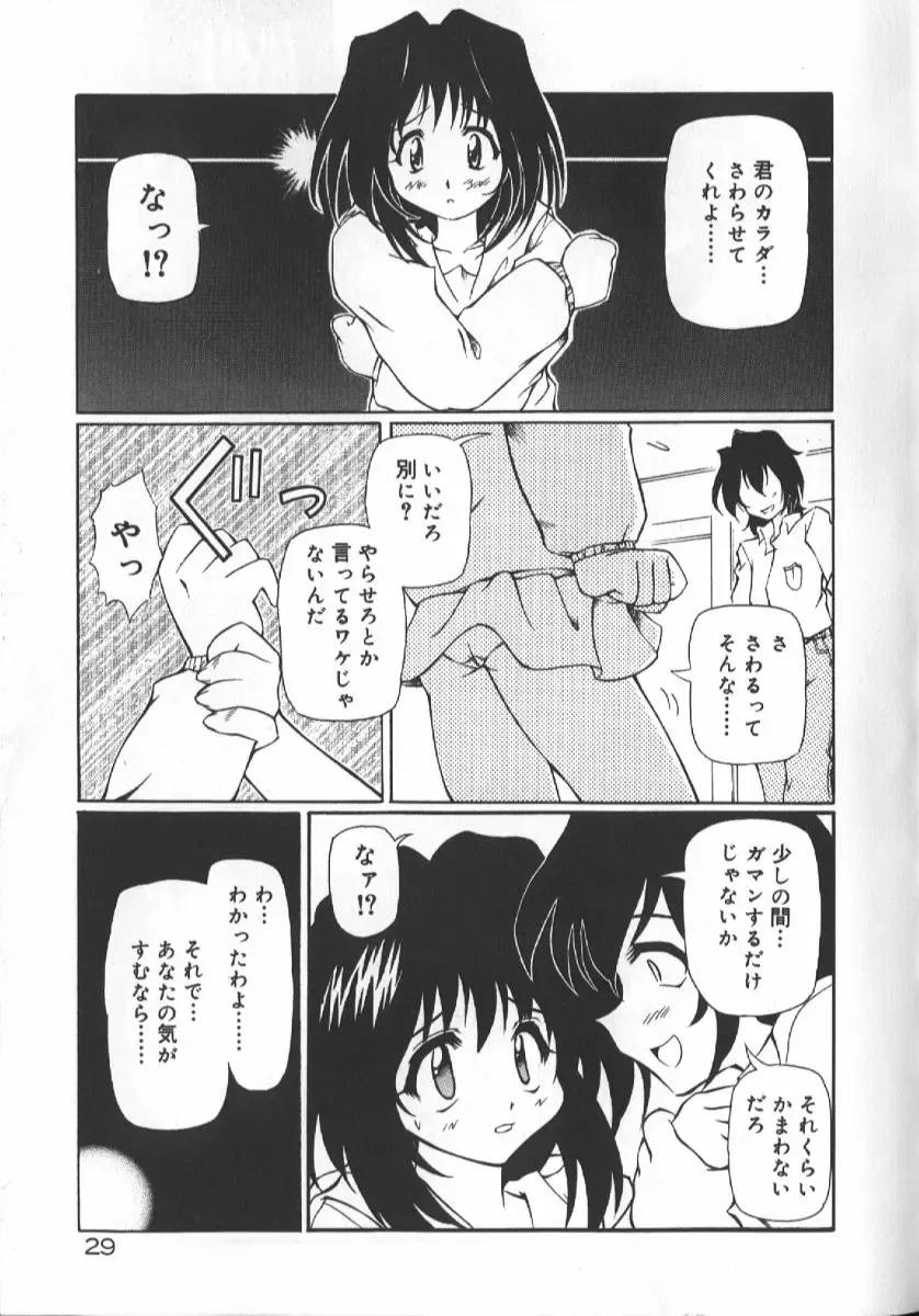 [Yasui Hirosato] Gekkoukan Gikyoku Fhentai - Page 31