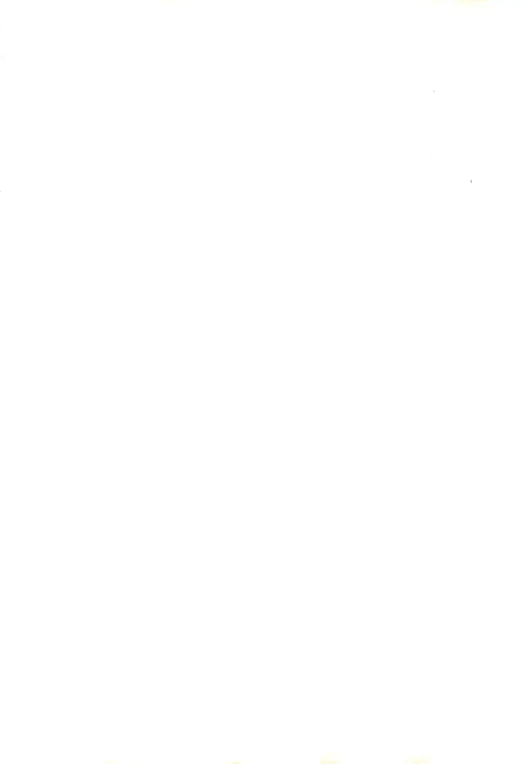 [Kuri Kinoko - Pia Rumi - Tachibana Asari] Kodomo no Rakuen Fhentai - Page 2