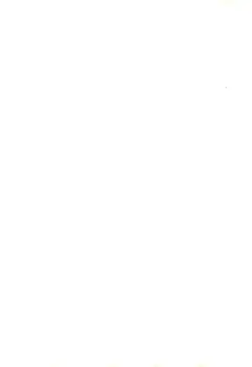 [Kuri Kinoko - Pia Rumi - Tachibana Asari] Kodomo no Rakuen Fhentai - Page 2