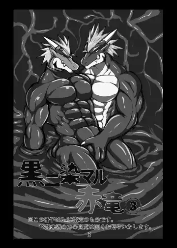 [Keito] Crimson Dragon Dyed in Black ③ Fhentai - Page 2