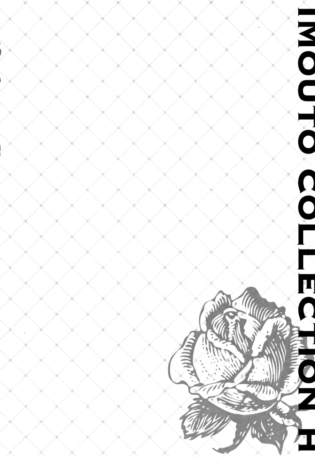 [Saikawa Yusa] IMOUTO COLLECTION H Tokusouban Fhentai - Page 27