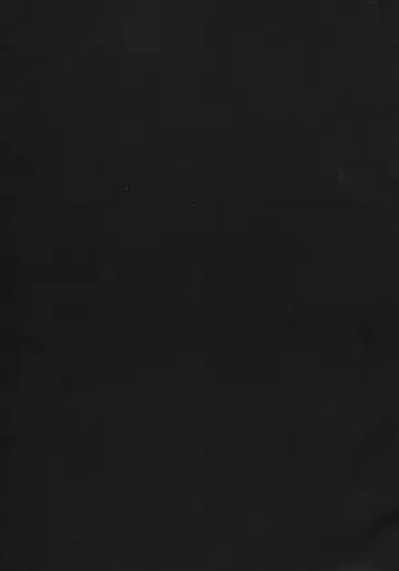 [Ahobaka] Aisuru Hinba ga Tanetsuke Sarete (decensored) Fhentai - Page 35