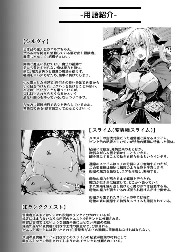 [Hirno] ELFIN QUEST #Slime Haiboku Hen Fhentai - Page 25