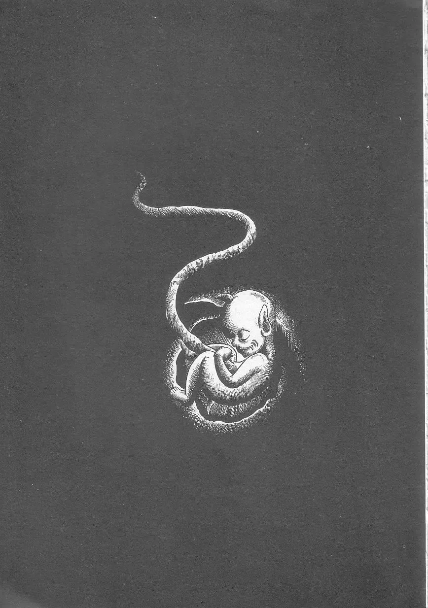 [Yazaki Tooru] Majo Kyoushi Mayako Fhentai - Page 161