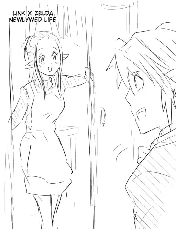 Read [Wasabi] Shinkon LinZel no Yoru | Link x Zelda newlywed life - Fhentai