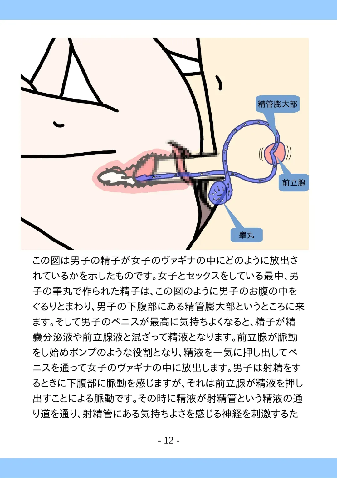 Shishunki no Tame no Tottemo Kimochii Sex no Ohanashi Fhentai - Page 12