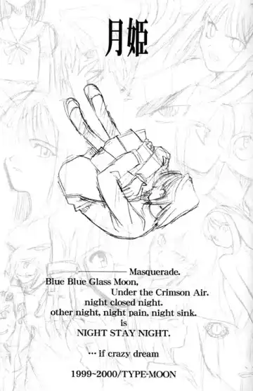 Tsukihime Setteishuu Fhentai - Page 2