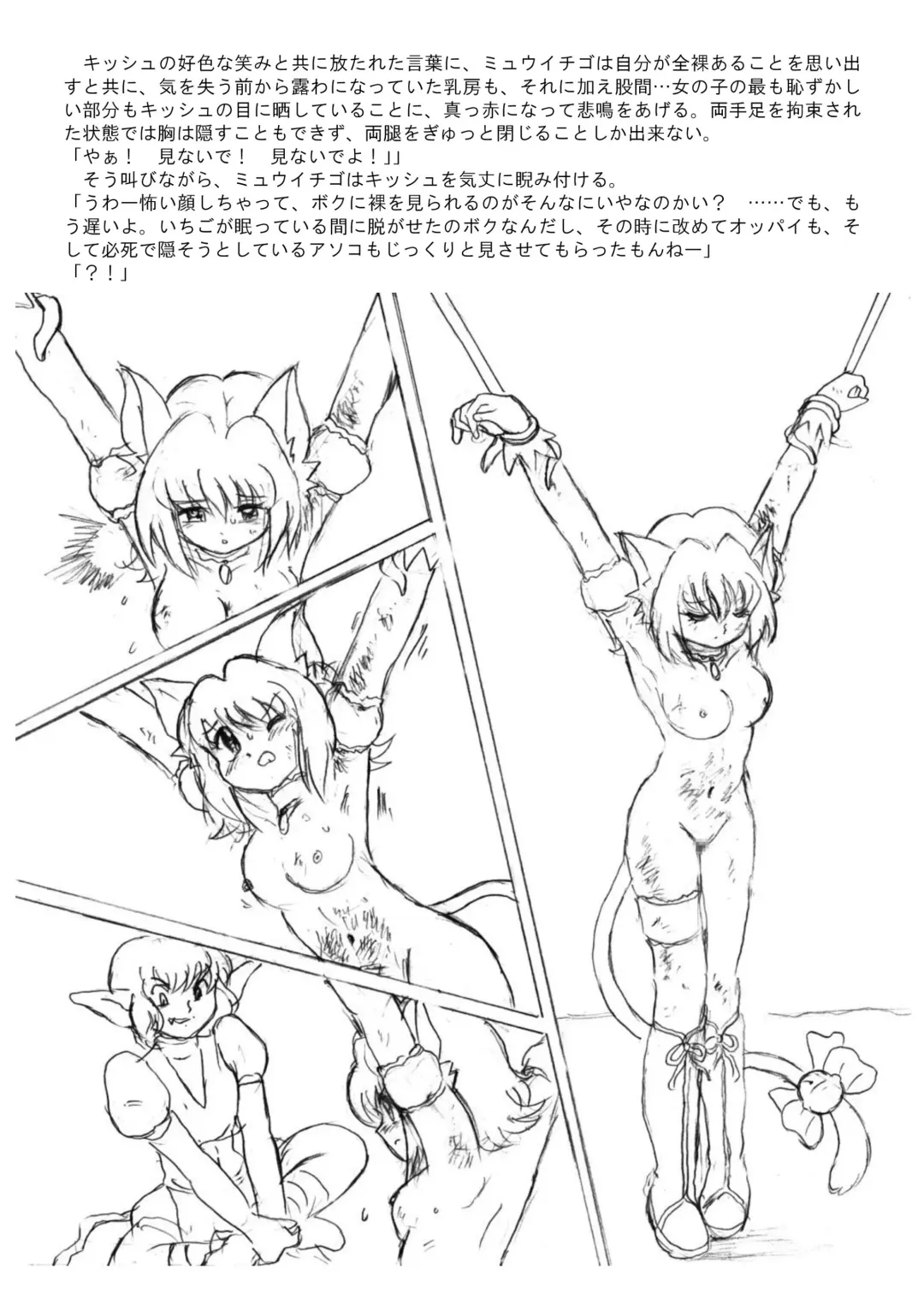 [Tyoujiya] Mew Ichigo Ryona & Ryoujoku Ehon Fhentai - Page 29