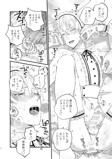 [Kochinko] Zettai Maid Henri Fhentai - Page 15