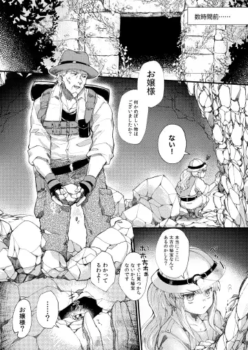 [Imai] Omakasekudasai Ojousama Fhentai - Page 3