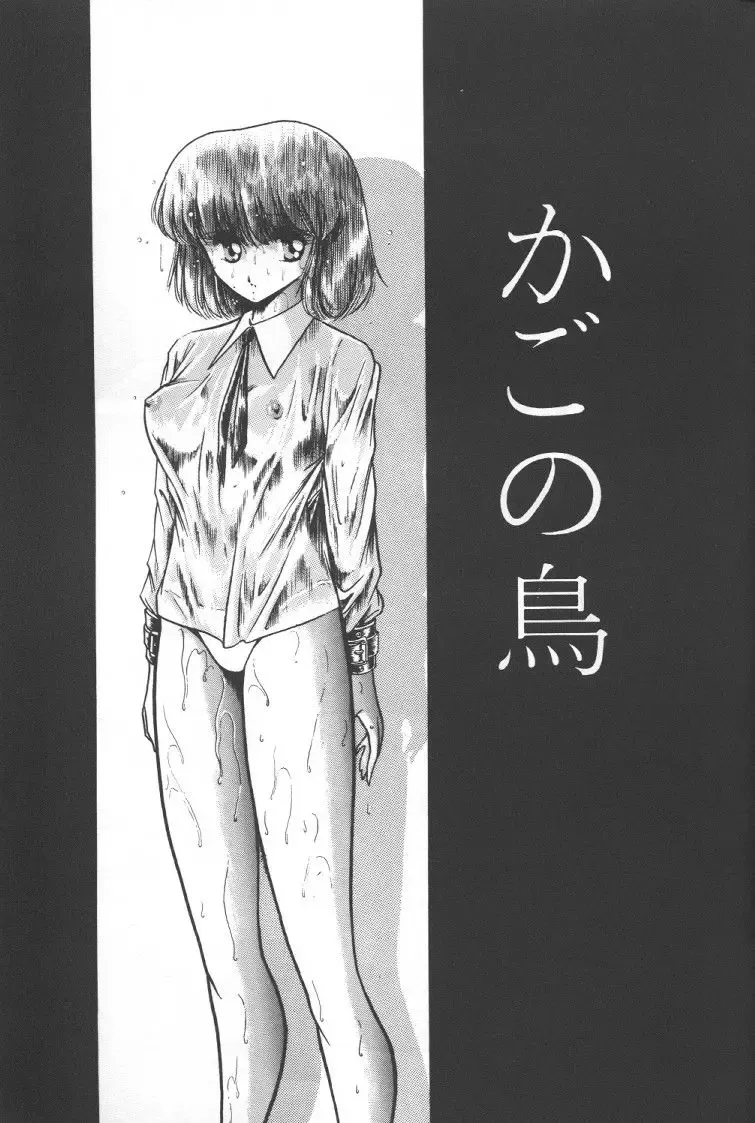 [Horikawa Gorou] Junketsu Fhentai - Page 8