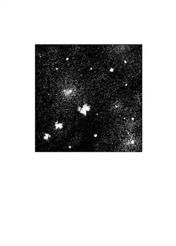 [Shiriyama] Pizza Man to Mafia Fhentai - Page 38