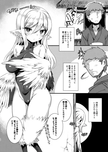 [Harigane Shinshi] Tsuru Harpy no Ongaeshi + Kaijou Genteibon Fhentai.net - Page 21