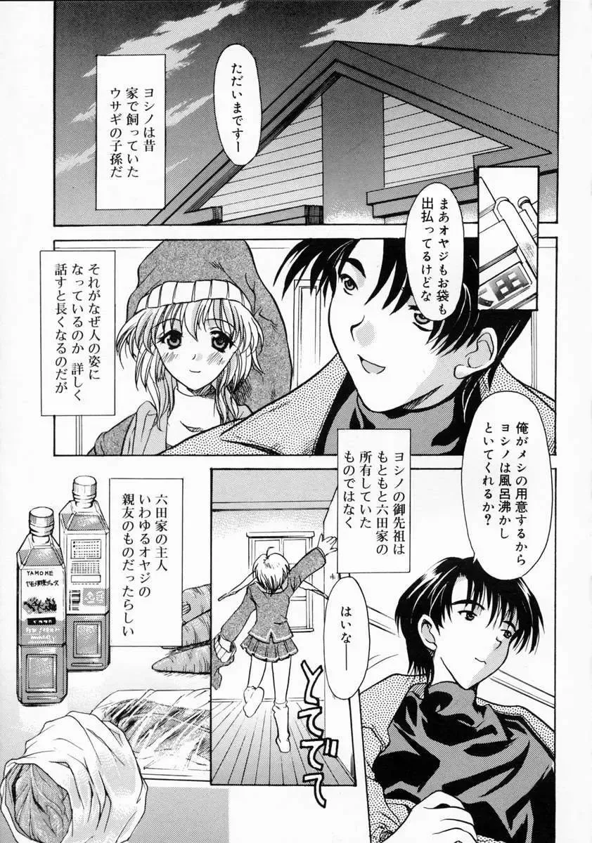 [Yokoi Rego] Patchwork Fhentai - Page 13