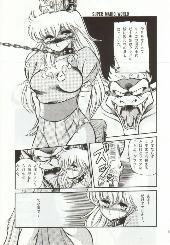 [Horikawa Gorou] Super Mario Collection Fhentai - Page 20