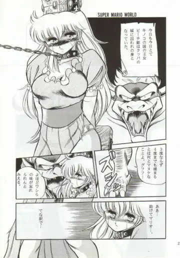 [Horikawa Gorou] Super Mario Collection Fhentai - Page 20