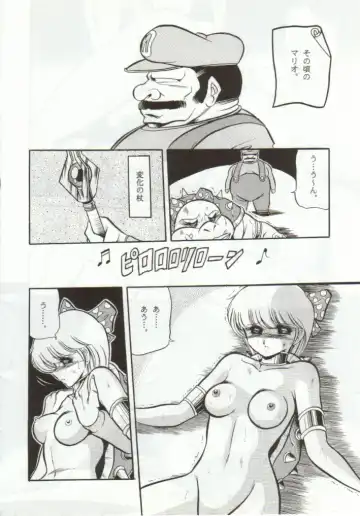 [Horikawa Gorou] Super Mario Collection Fhentai - Page 27
