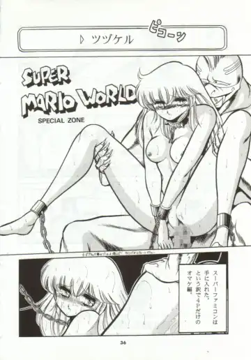 [Horikawa Gorou] Super Mario Collection Fhentai - Page 33