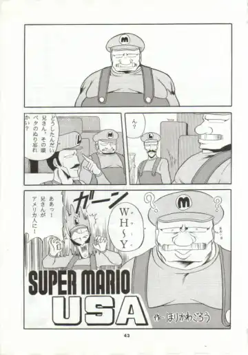 [Horikawa Gorou] Super Mario Collection Fhentai - Page 40