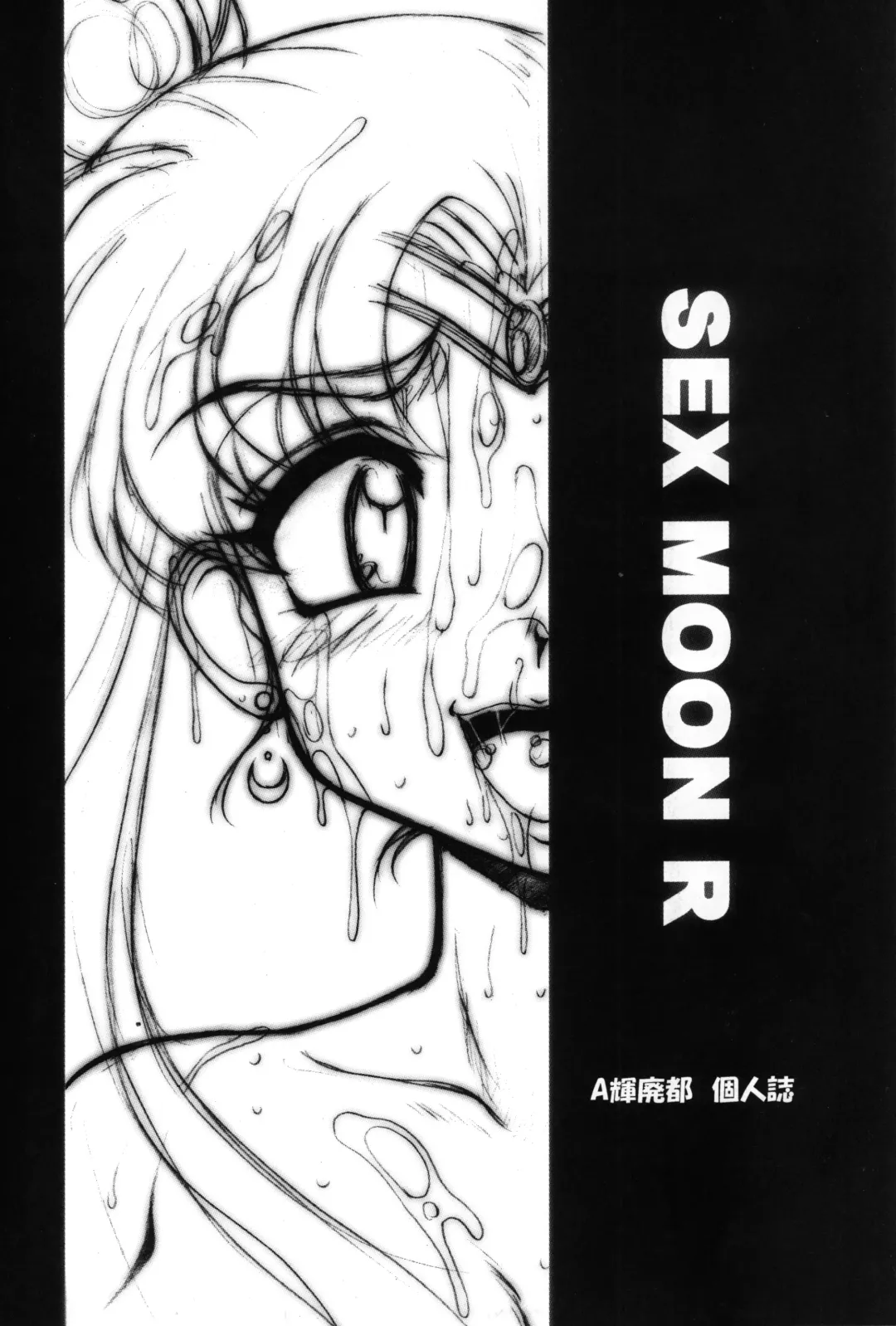 [A-teru Haito] SMR | Sex Moon Return Fhentai - Page 2