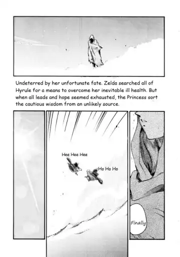 [Taira Hajime] Legend of Zelda; Zelda's Strive Fhentai.net - Page 13