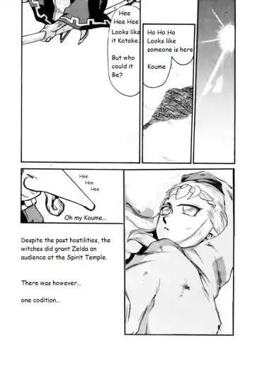 [Taira Hajime] Legend of Zelda; Zelda's Strive Fhentai.net - Page 14