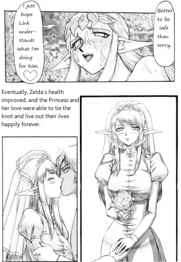 [Taira Hajime] Legend of Zelda; Zelda's Strive Fhentai.net - Page 39