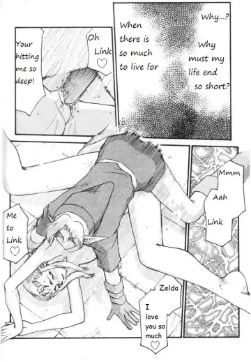 [Taira Hajime] Legend of Zelda; Zelda's Strive Fhentai.net - Page 9