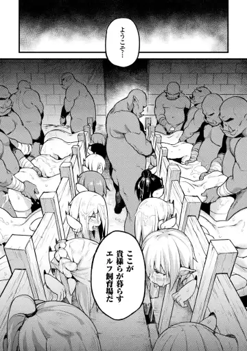 [Try] Elf no Tsukaimichi Fhentai.net - Page 11