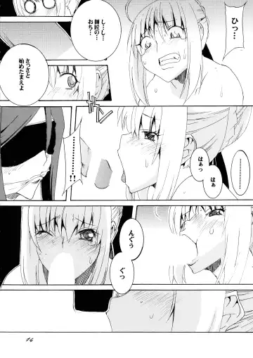 [Honoutsukai] Gray-tan x Saber-san no Hajikenbo Fhentai.net - Page 14