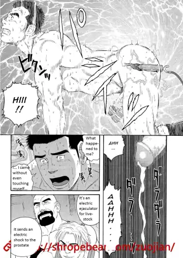 [Tagame Gengoroh] Dorei Choukyou Gasshuku | Slave Training Summer Camp Fhentai - Page 41