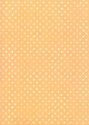 [Tamakake] Imouto to Hajimemashita Fhentai - Page 2