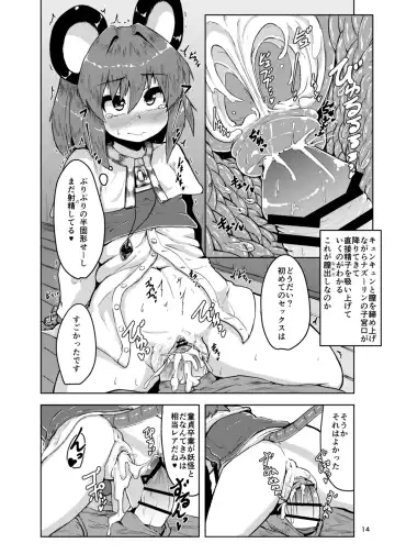 [Peso] Otonari wa Nazrin Fhentai - Page 14
