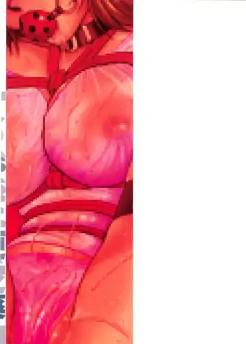 [Mac-v] Kageki Na Shukujo Fhentai - Page 153