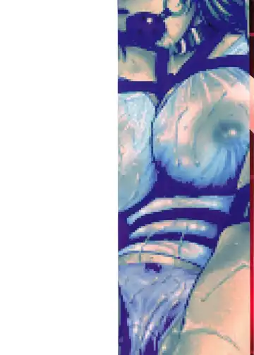 [Mac-v] Kageki Na Shukujo Fhentai - Page 2