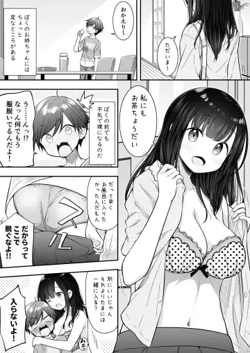 [Purapa] Razoku no Onee-chan ni Yuuwaku sarete Ecchi shichatta Ohanashi Fhentai - Page 3