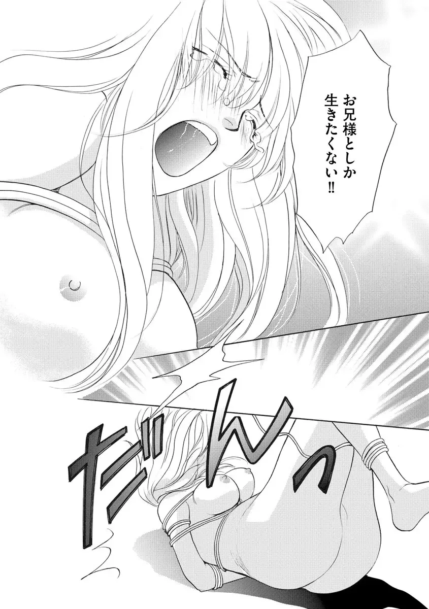 [Omi Shinano] Imouto Mekake ~Onii-sama, Mou Yurushite~ 4 Fhentai - Page 119