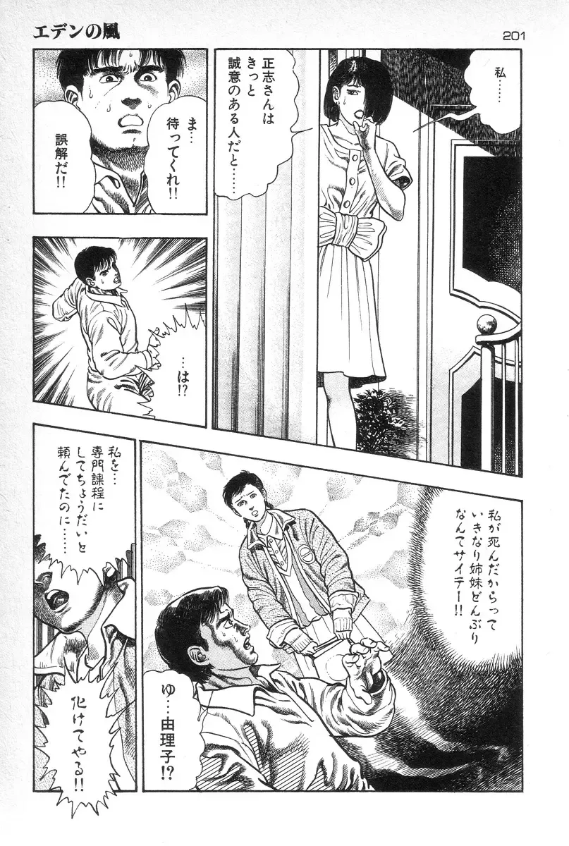 [Maeda Toshio] Eden no Kaze Fhentai - Page 202