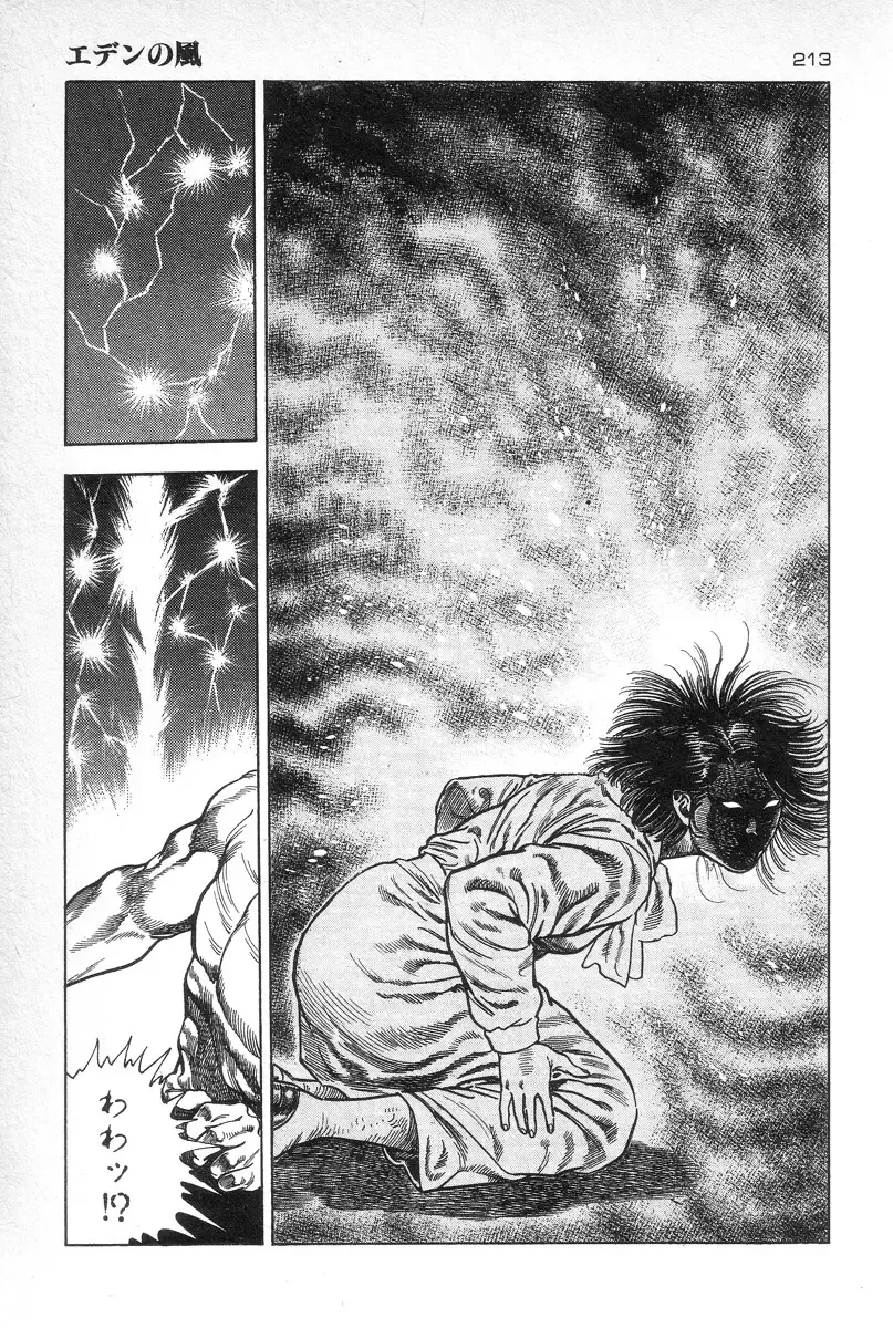 [Maeda Toshio] Eden no Kaze Fhentai - Page 214