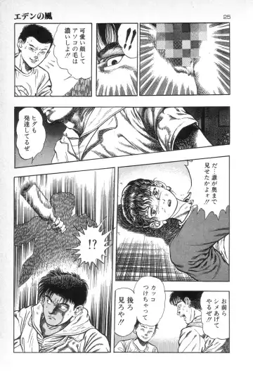 [Maeda Toshio] Eden no Kaze Fhentai - Page 27