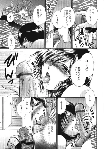 [Shou Akira] Seme Ane Fhentai.net - Page 12