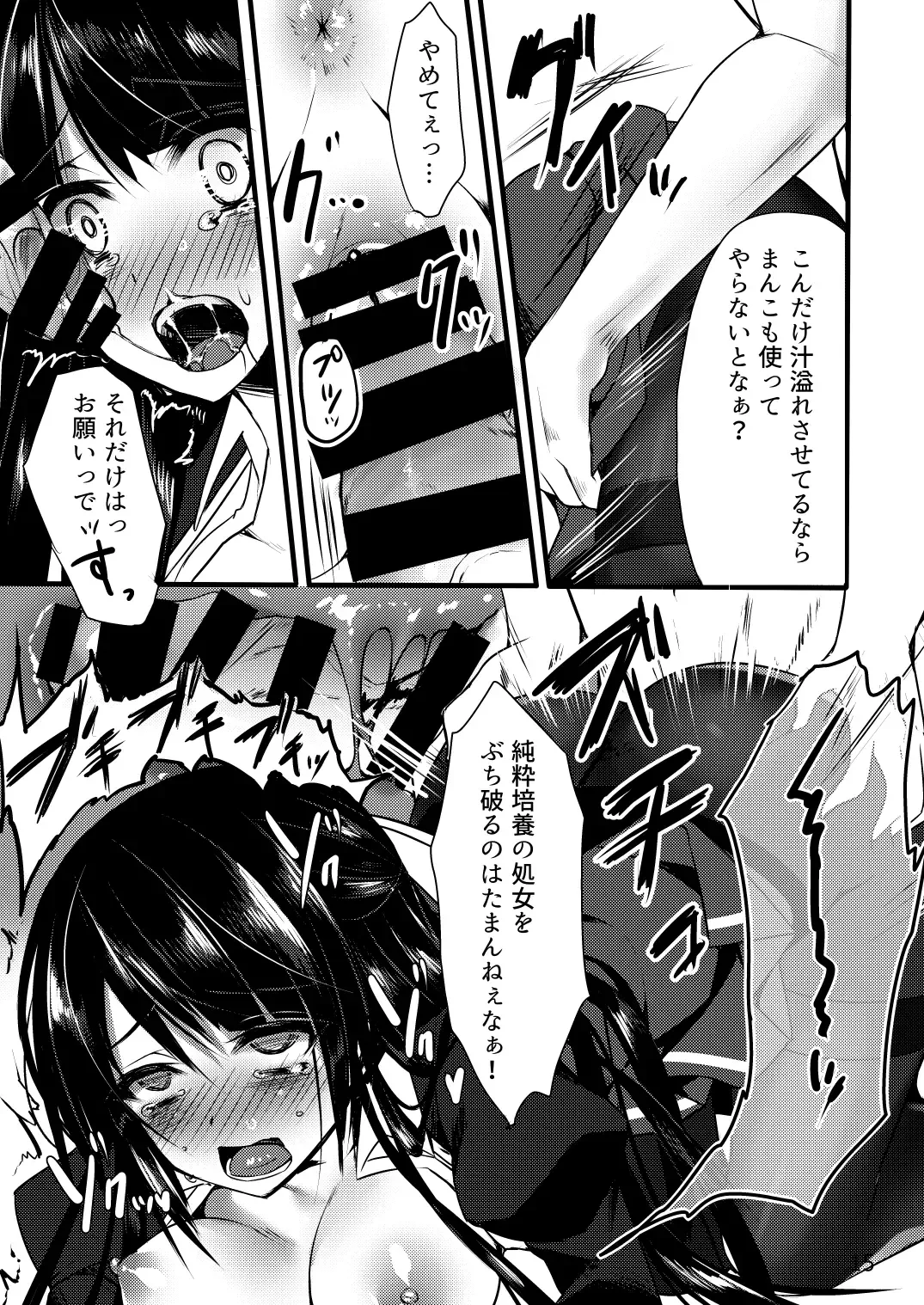 [Sorai Shinya] Shiawase ni Tsutsumareta Ojou-sama no Seikatsu o Buchi Kowasu Hanashi Fhentai - Page 13