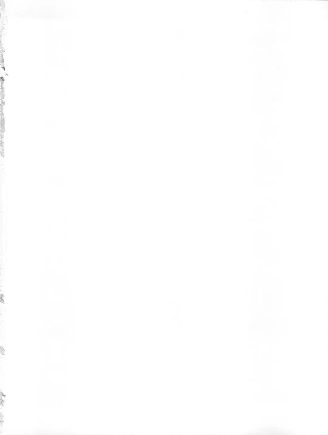 [Mizushiro Takuya] Go!! Far East Fhentai - Page 2