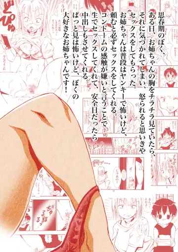 [Matsuyama Seiji] Tanomu to Sex Shite Kureru Yankee Onee-chan. Fhentai - Page 2