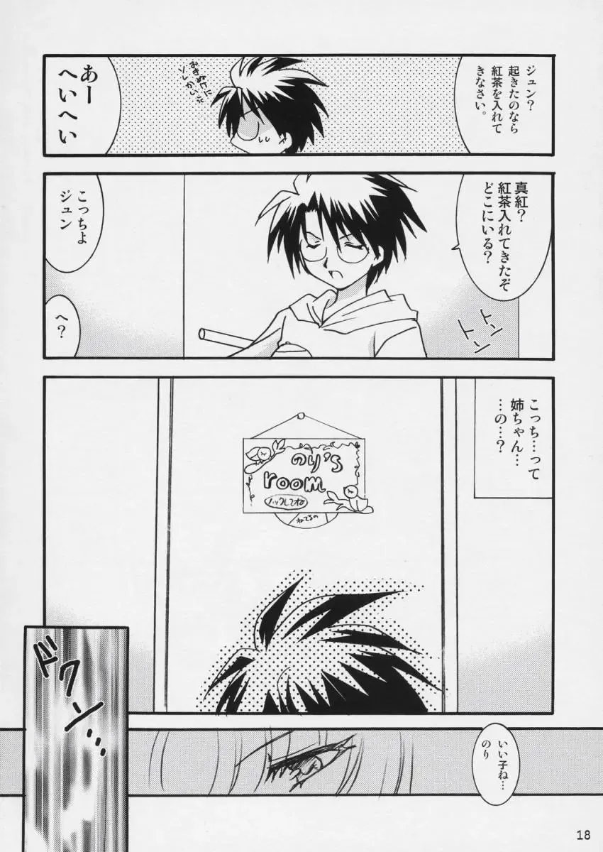 [Nori] Setumei shi te choudai Fhentai - Page 17