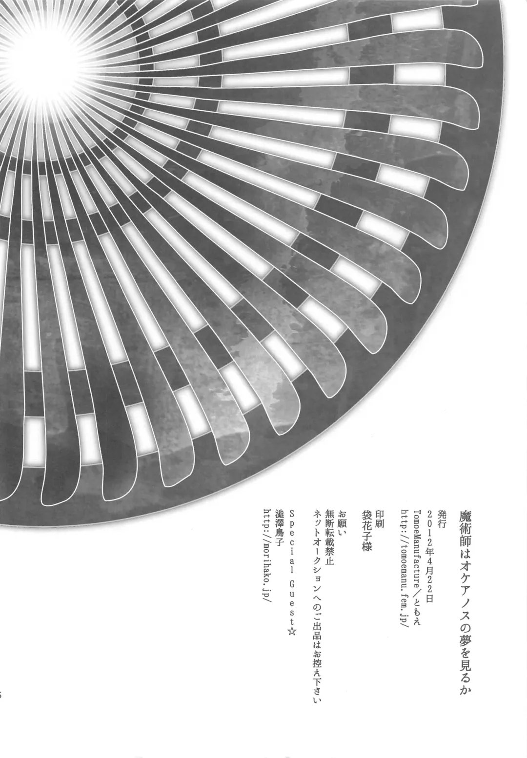 [Shibusawa Toriko - Tomoe] Majutsushi wa Oceanus no Yume o Miru ka Fhentai - Page 47