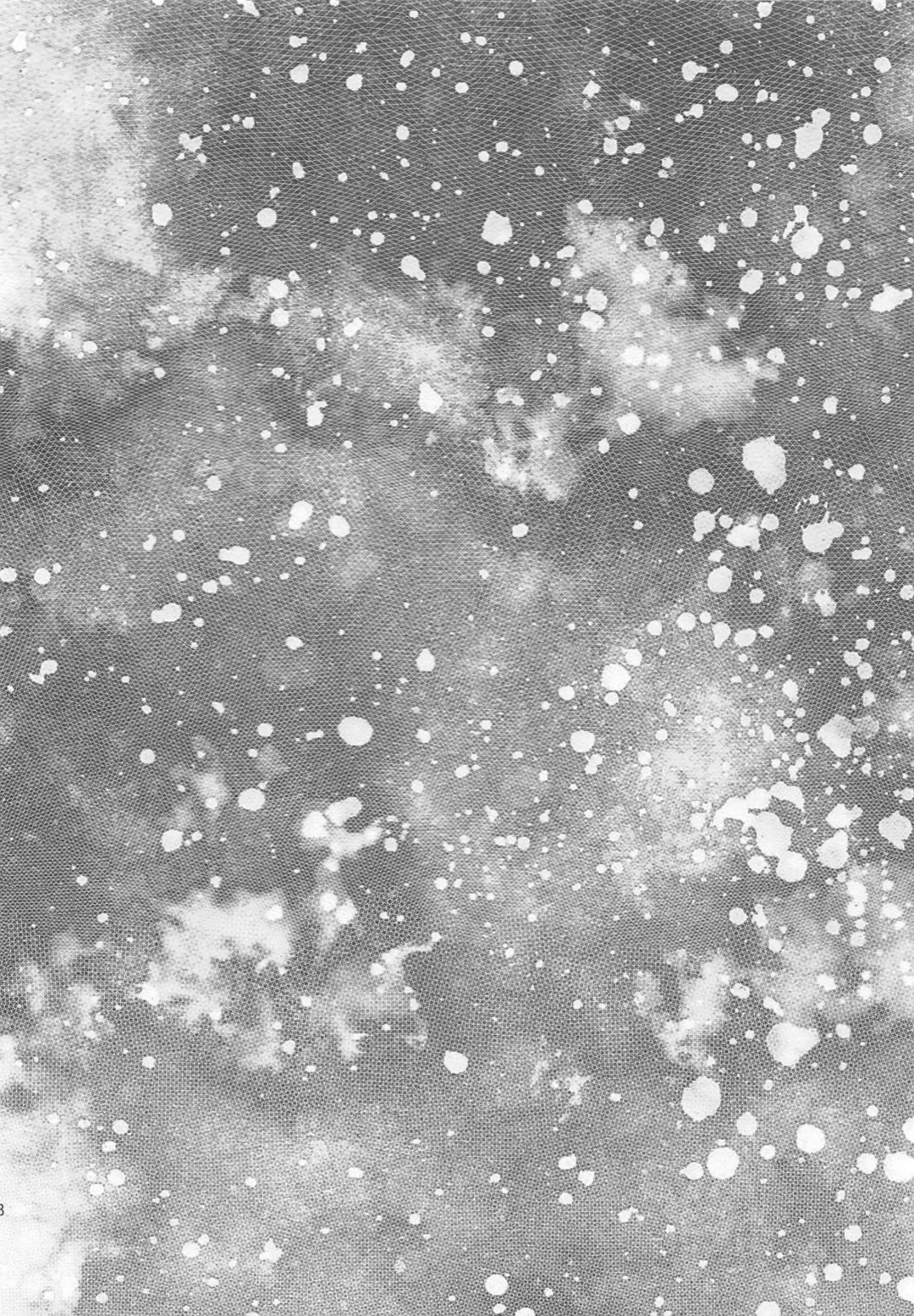 [Shibusawa Toriko - Tomoe] Majutsushi wa Oceanus no Yume o Miru ka Fhentai - Page 49