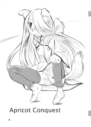 [Matra-mica] Solatorobo no Sabu Kyara-tachi. Fhentai - Page 11